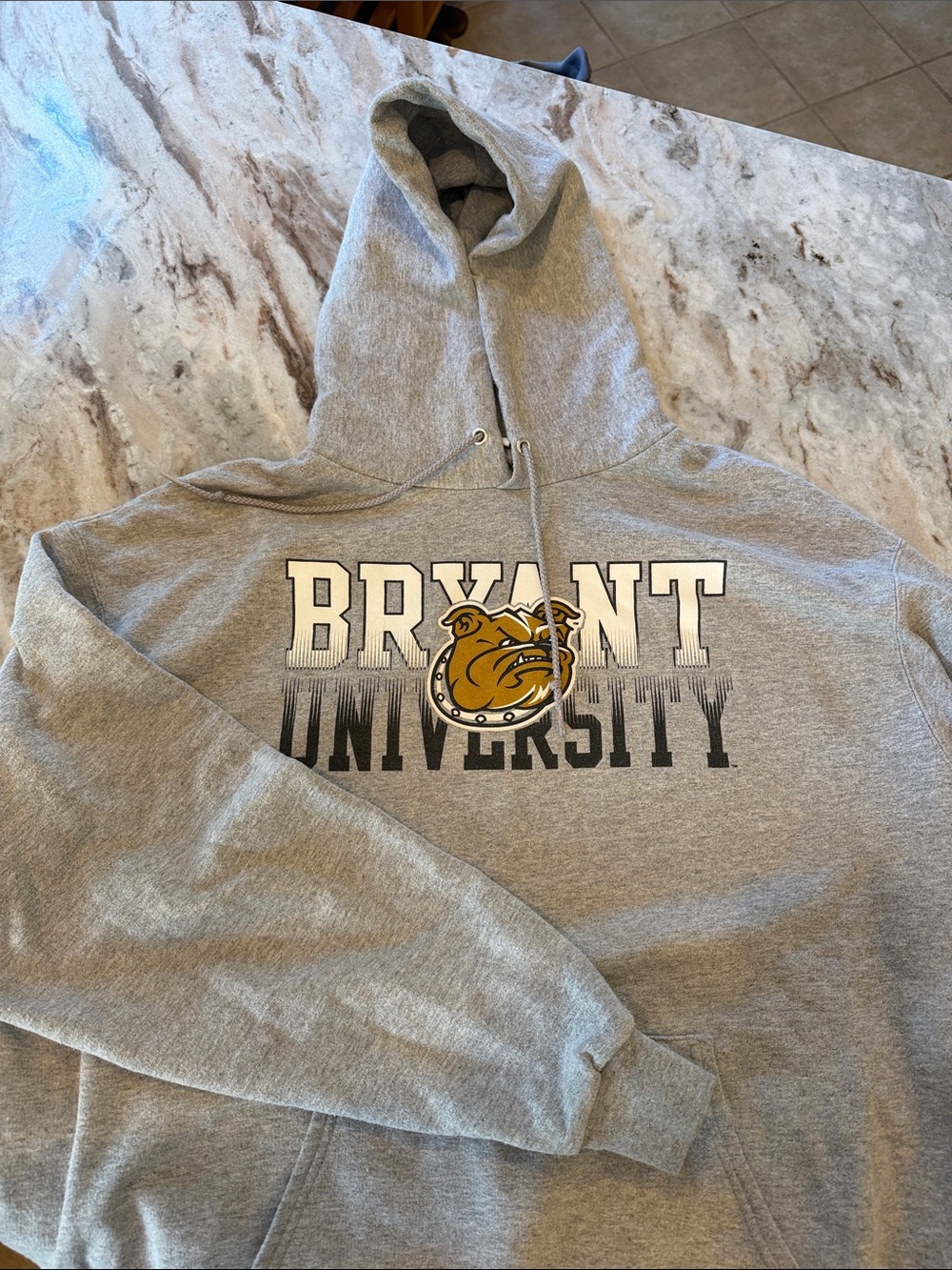 Bryant University Gray Hooded Sweatshirt